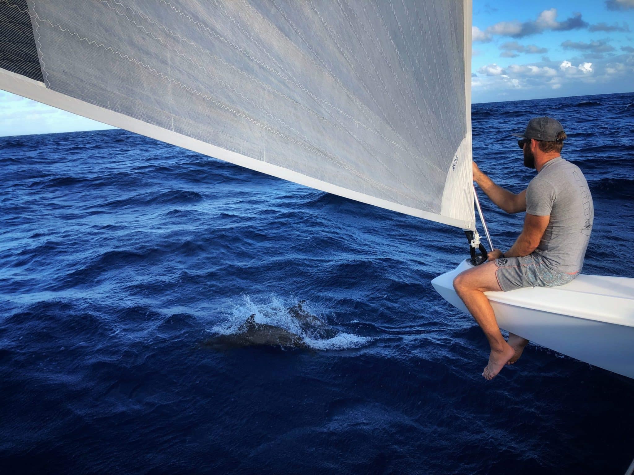 CJ Coetzee chasing dolphins on catamaran