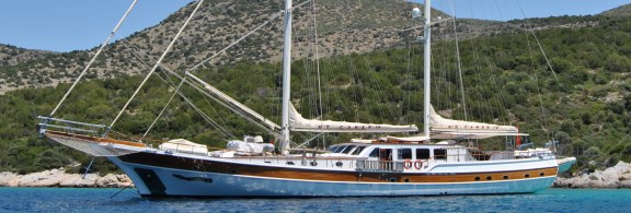 CANER IV