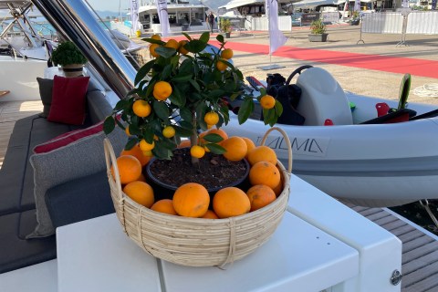 Klara Jakobsen's photo from the onboard visit