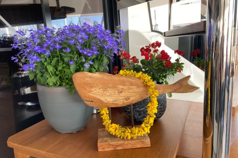 Klara Jakobsen's photo from the onboard visit