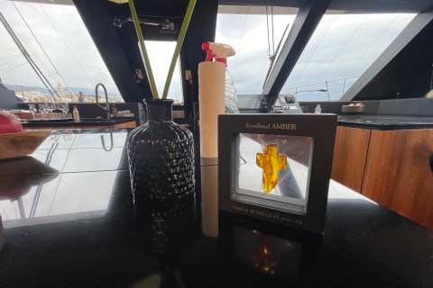 Klara Jakobsen's photo from the onboard visit