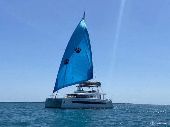 NAUTI DOGS 5.4