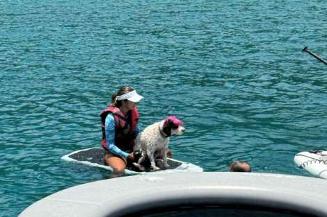 Review img # 41 of the yacht DRAGONFLY