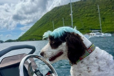 Review img # 14 of the yacht DRAGONFLY