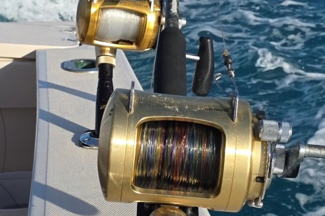 Review img # 1 of the yacht ISLAND HOPPIN’ 55