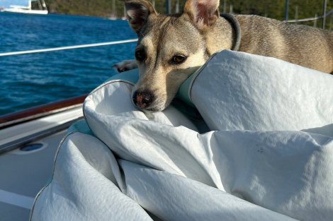 Review img # 10 of the yacht KAI