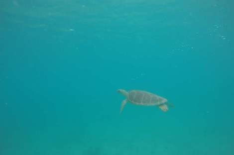 Review img # 90 of the yacht MAKIN MEMORIES