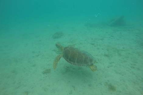 Review img # 91 of the yacht MAKIN MEMORIES