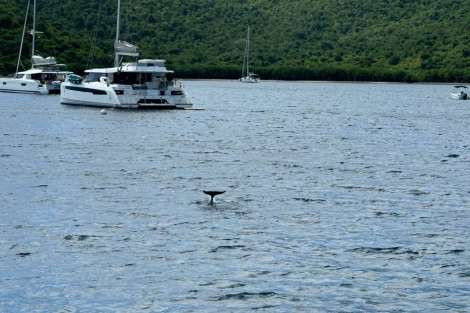 Review img # 80 of the yacht MAKIN MEMORIES