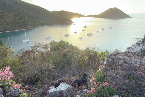 Review img # 42 of the yacht MAKIN MEMORIES
