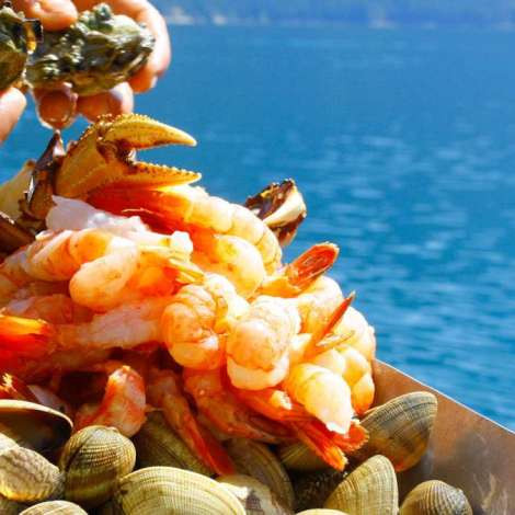 Food onboard PACIFIC YELLOWFIN # 1
