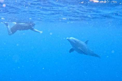 Review img # 27 of the yacht SCUBA DOO