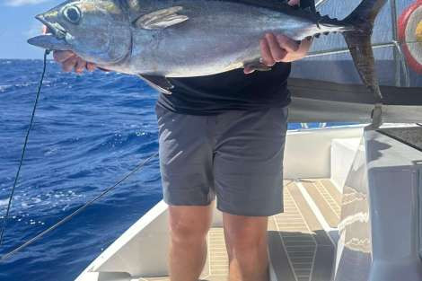 Review img # 20 of the yacht SOMMER